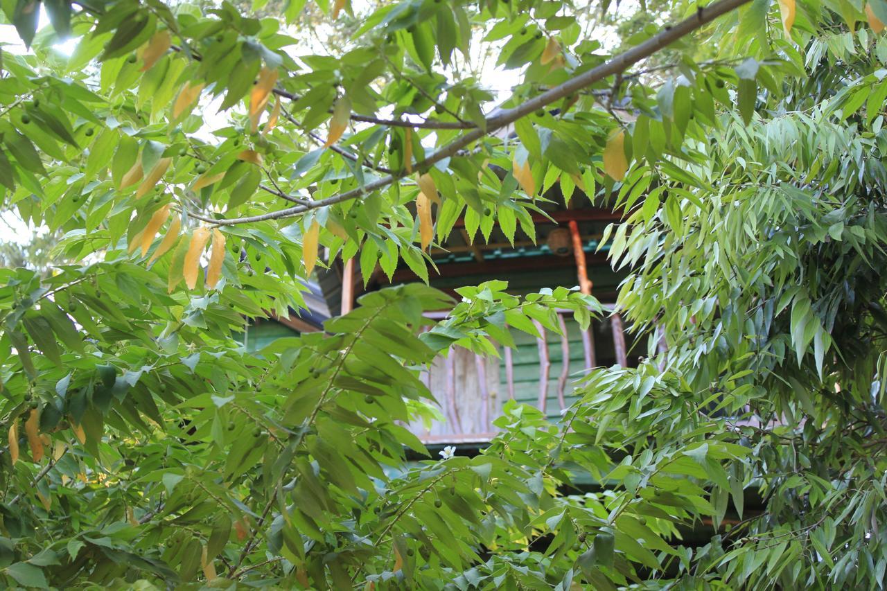 亚拉生态树屋酒店 蒂瑟默哈拉默 外观 照片