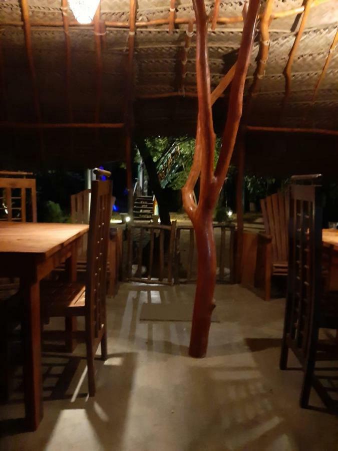 亚拉生态树屋酒店 蒂瑟默哈拉默 外观 照片